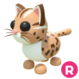 Leopard Cat R
