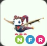 NFR Jester Dragon - Adopt Me