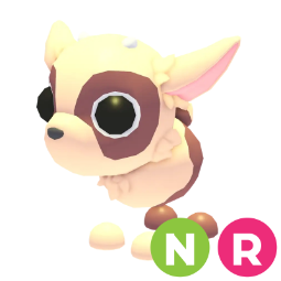 Kid Goat NR
