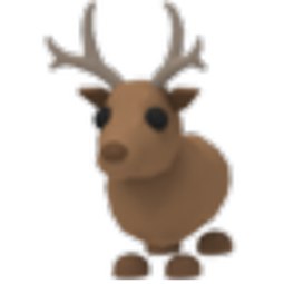 Reindeer