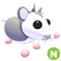 Possum N