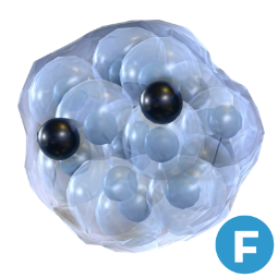 Frogspawn F
