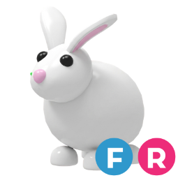 Rabbit FR