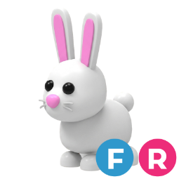 Bunny FR