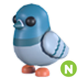 Rock Pigeon N