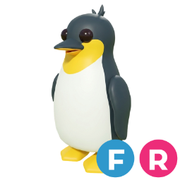 King Penguin FR