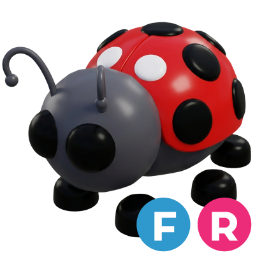 Ladybug FR