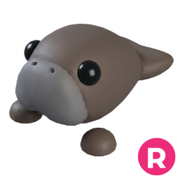 Dugong R