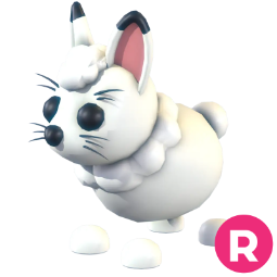 Arctic Hare R