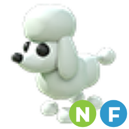 Poodle NF
