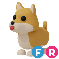 Shiba Inu FR