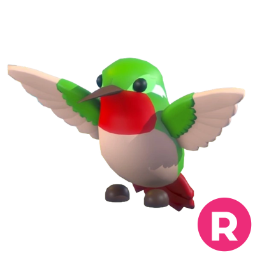 Hummingbird R