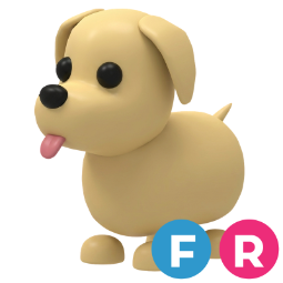 Dog FR