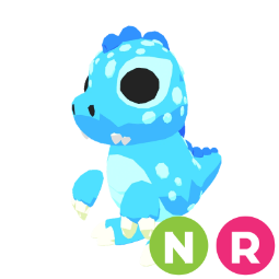 Kaijunior NR