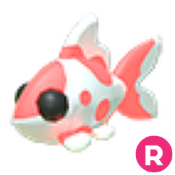 Koi Carp R