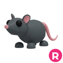 Rat R