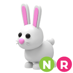 Bunny NR