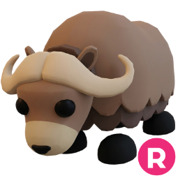 Musk Ox R
