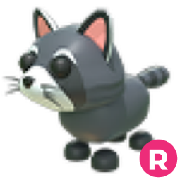 Raccoon R