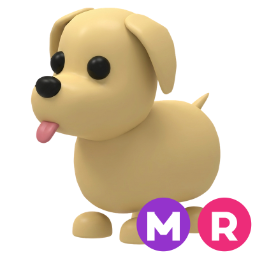 Dog MR