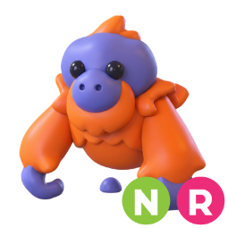 Orangutan NR