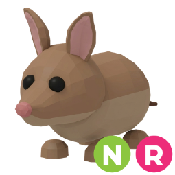Bandicoot NR