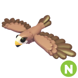 Black Kite N