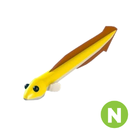 Eel N
