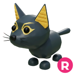 Abyssinian Cat R