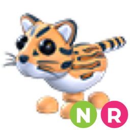 Ocelot NR