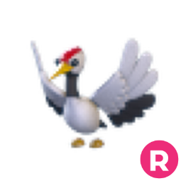 Red Crowned Crane R