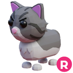 Persian Cat R