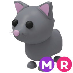 Cat MR