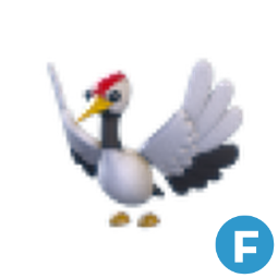 Red Crowned Crane F