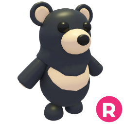 Black Moon Bear R