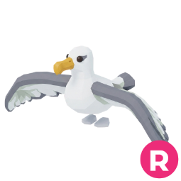 Albatross R