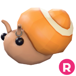 Trapdoor Snail R