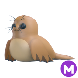 Galapagos Sea Lion M