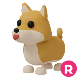 Shiba Inu R