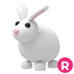 Rabbit R