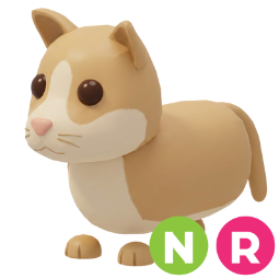 Puma NR