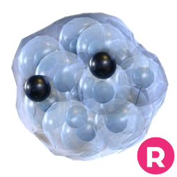Frogspawn R