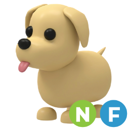 Dog NF