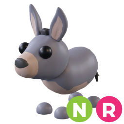 Donkey NR