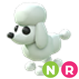 Poodle NR