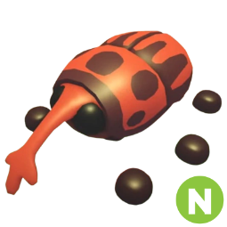 Weevil N