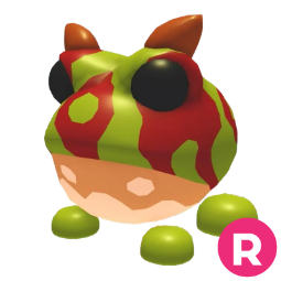 Ornate Horned Frog R