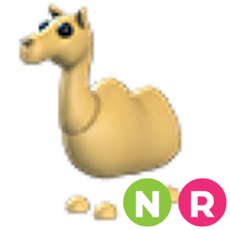 Camel NR