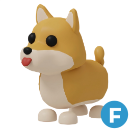 Shiba Inu F