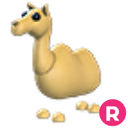 Camel R